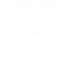 React icon